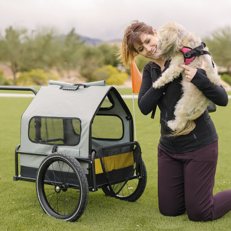 Pet Bike Trailer