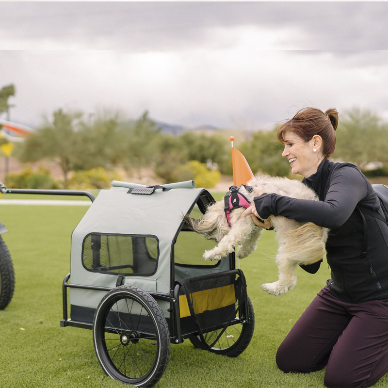 Pet Bike Trailer