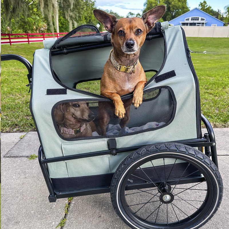 Pet Bike Trailer