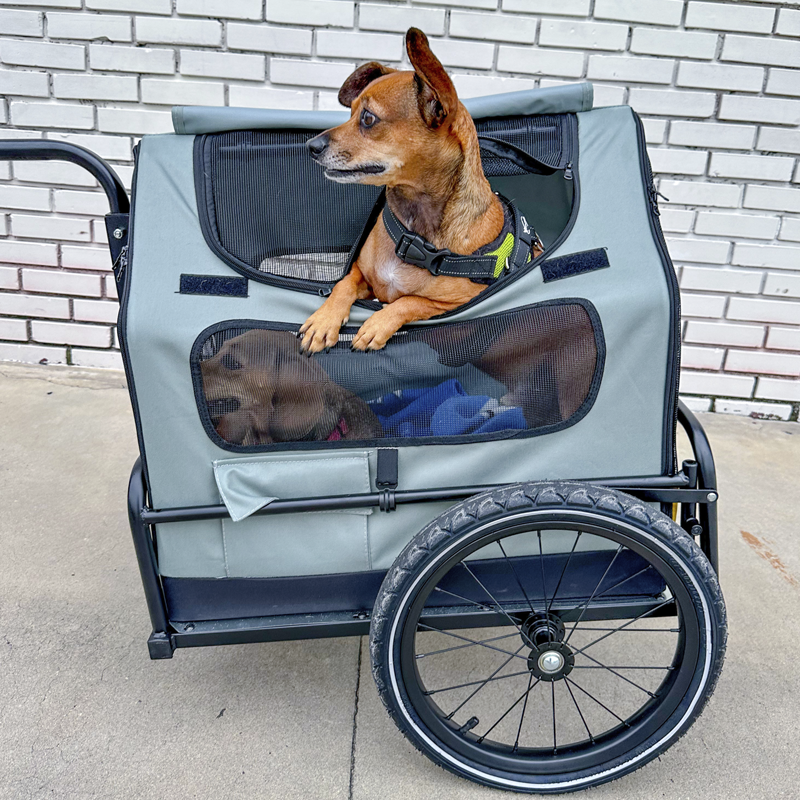 Pet Bike Trailer